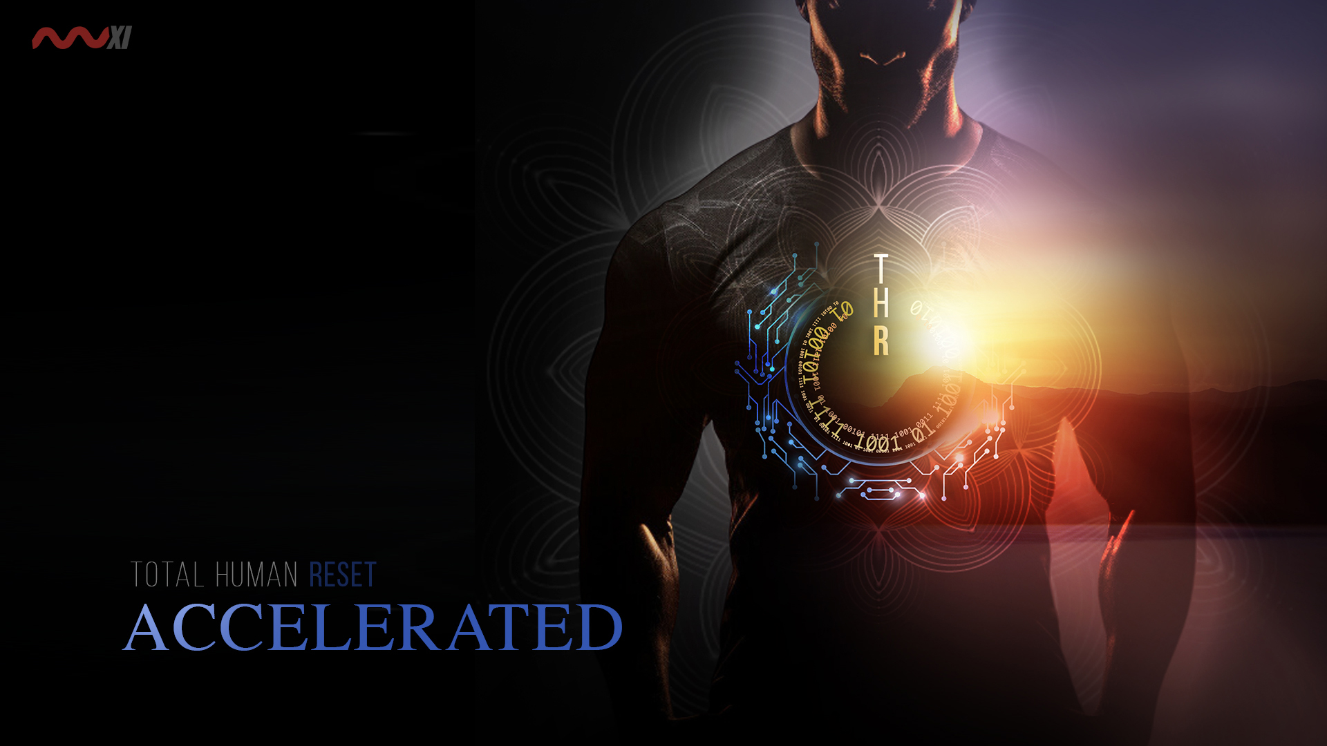 THR ACCELERATED
